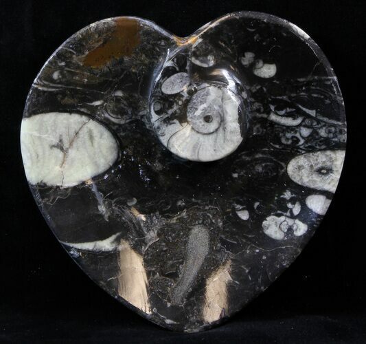 Heart Shaped Fossil Goniatite Dish #39334